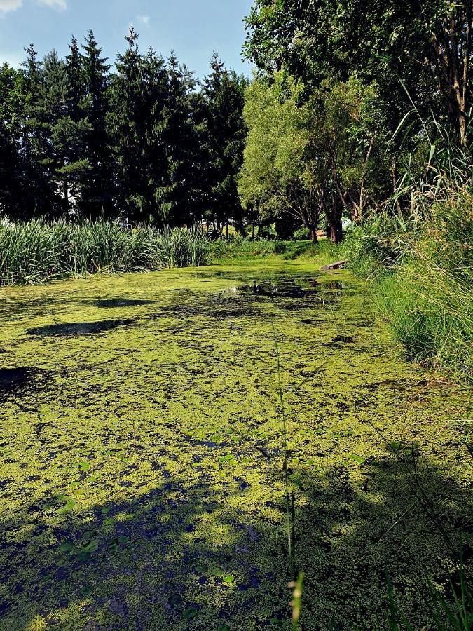 Zielona Samotnia Czaplinek Exterior foto