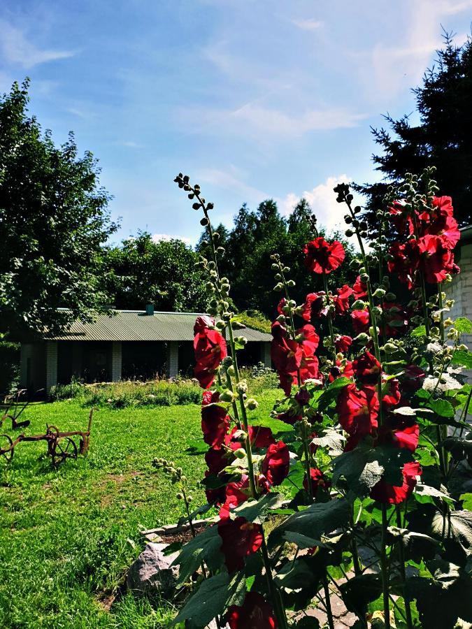 Zielona Samotnia Czaplinek Exterior foto