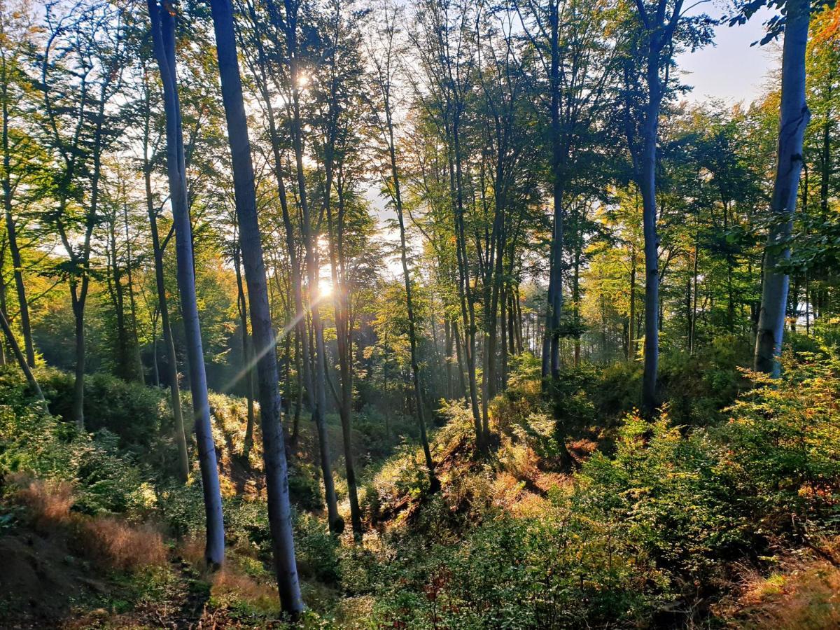 Zielona Samotnia Czaplinek Exterior foto