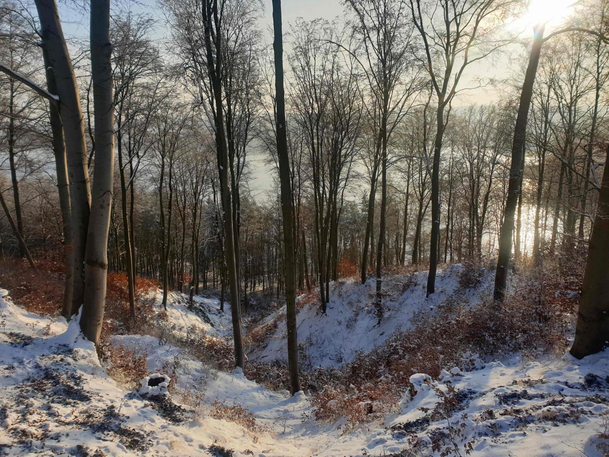 Zielona Samotnia Czaplinek Exterior foto